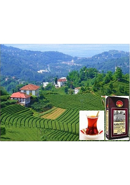 Karadeniz Export Dökme Çay 500 gr 10'Lu