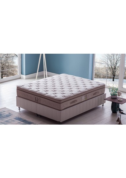 -Zero Stress 120X200 Offset Yaylı Anti-Static Yatak fiyatları