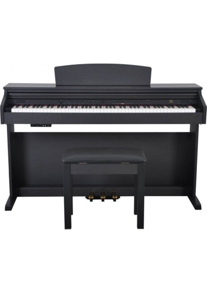 DP-3-SR Gülağacı - Dijital Piyano