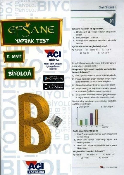 Açı Yayınları 11. Sınıf Biyoloji Efsane Yaprak Test