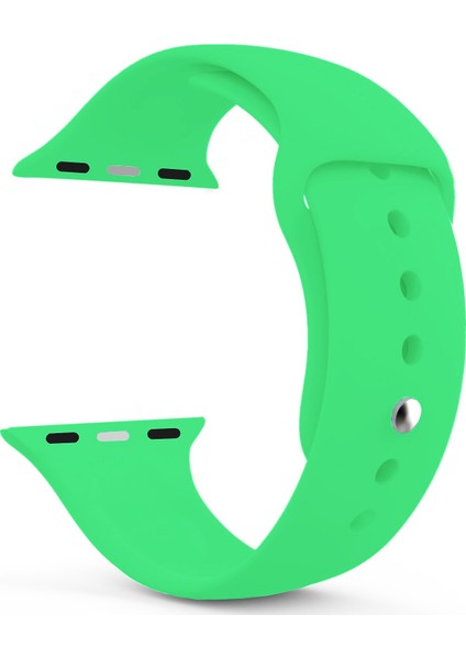 Apple Watch Uyumlu Series 4 40mm Silikon Kordon