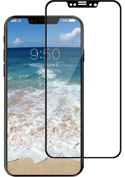 Apple iPhone XS Max Full Kapatan Renkli Cam Siyah