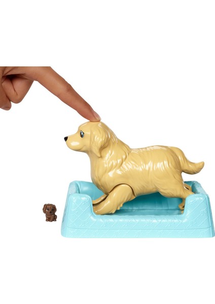 Ve Doğuran Köpeği Esmer