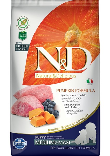 Balkabaklı Kuzu Etli Tahılsız Yavru Köpek Maması 2.5 Kg