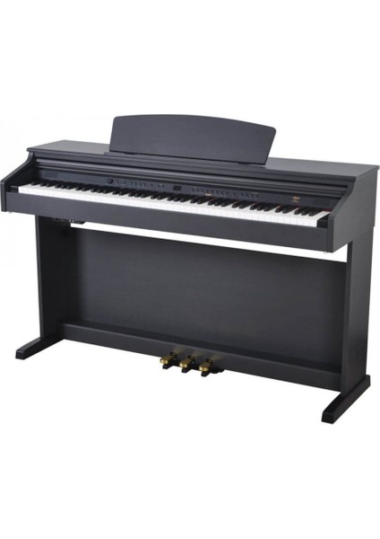 DP-3-SR Gülağacı - Dijital Piyano