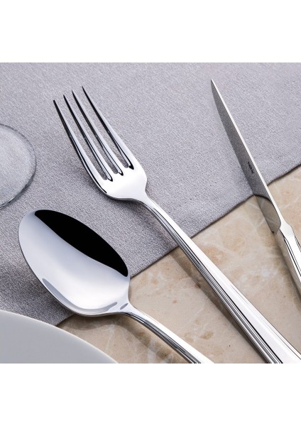 Katre 12 Adet Sade Tatlı Bıçak18-10 304 fiyatları