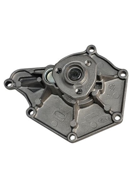 Devirdaim Pompası 06E121005F Audi A4 Audi A5 Audi A6 980272