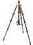 Equinox Leo Karbon Fiber Tripod Ve Airhed Switch Kafa 3