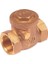 1 1/2" Çalparalı (Yatay) Çekvalf 1