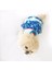 Teddy Blue Köpek Elbisesi Köpek Kıyafeti 5