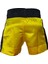 Leon Classic Nakışlı Muay Thai ve Kick Boks Antrenman Şortu Sarı BYL1008 3