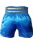 Leon Kickboxing Nakışlı Kick Boks Şortu Mavi BYL1002 3