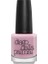 Nail Polish 210 1