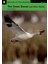The Snow Goose And Other Stories - Penguin English Active Readers Level 3 (Book + CD Pack) 1