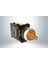 Işık Mandal Buton 1-0-2 Sarı Led 220V 1