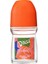 Classic Roll-On 50 ml 1