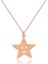 14 Ayar Altın Yıldız Kolye 1