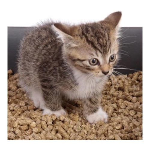 HyLife Doğal Kedi Kumu Pellet 15 kg Fiyatı Taksit Seçenekleri