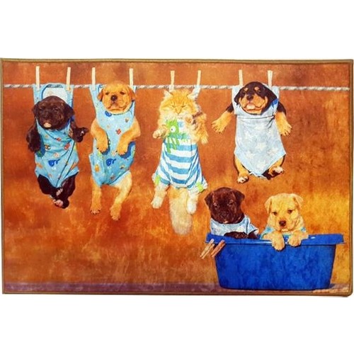 köpek paspası