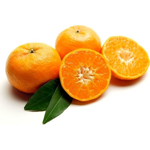 berke fidancilik primasol mandalina fidani 60 80 cm 3 yas fiyati