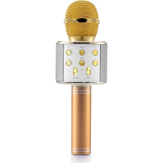 Goldmaster Star 2018 Karaoke Altın Sarısı Mikrofon