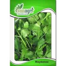 Sunagri Tohumculuk Maydonoz Tohumu – Sunagri