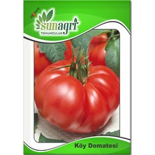 Sunagri Tohumculuk Köy Domatesi Tohumu – Sunagri