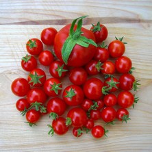 Sunagri Tohumculuk Cherry Domates Tohumu – Sunagri