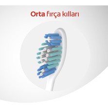 Colgate Üçlü Etki Dil Temizleyicili Arka Dişlere Uzanan Orta Diş Fırçası X 2 Adet + Diş Fırçası Kabı