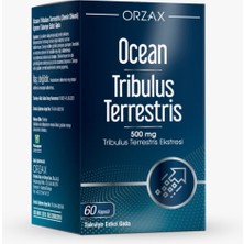 Ocean Tribulus Terrestris 500 Mg 60 Kapsül (DCN101)