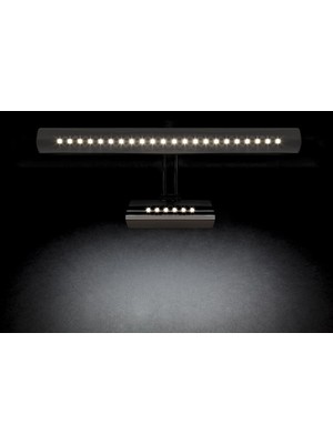 Cata LED Aplik Kuğu Resim ve Banyo Apliği Gold CT-5246 Beyaz Işık