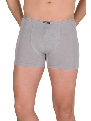 Berrak Erkek 3'lü Modal Boxer 4488 | Gri