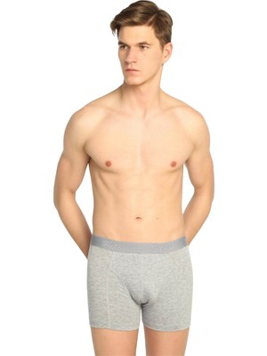Tutku  Erkek 3'lü Likralı Boxer | Gri
