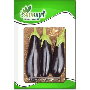 Sunagri Tohumculuk Patlıcan Aydın Siyahı Tohumu – Sunagri
