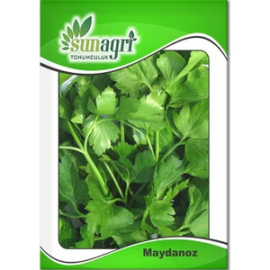 Sunagri Tohumculuk Maydonoz Tohumu – Sunagri