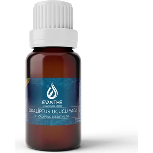 Okaliptüs Aromaterapi Esansiyel Uçucu Yağı 10 ml
