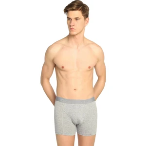 Erkek 3'lü Likralı Boxer | Gri