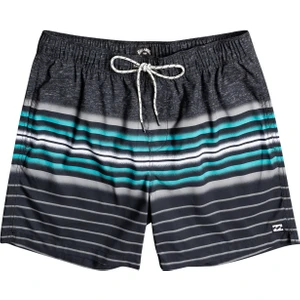 All Day Stripes Erkek Deniz Şortu C1LB02