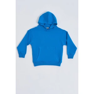 Organik Kapüşonlu Uzun Kollu Erkek Çocuk Sweatshirt - Mavi - 10-12