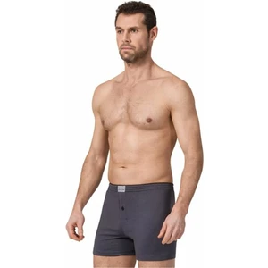 1 Adet Füme Renk Düğmeli Penye Boxer