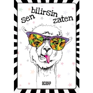 Havalı Panda Defter - Çılgın Defterler -
