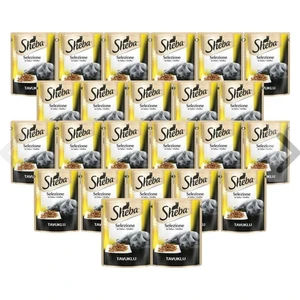 tavuklu Yaş Pounch 24 Adet