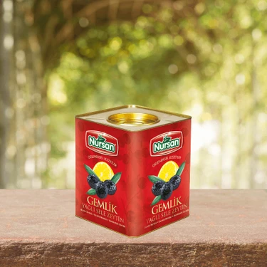 Nursan L. Zeytin 4 kg Fiyatı, Taksit Seçenekleri ile Satın Al
