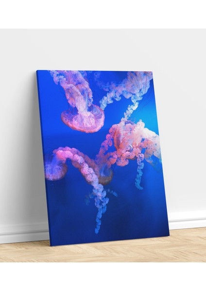 Tekli Kanvas Tablo Tasarımı Dekor Deniz Anası Dekoratif