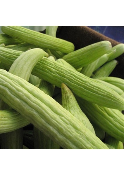 Acur Tohumu 10 gr Paket