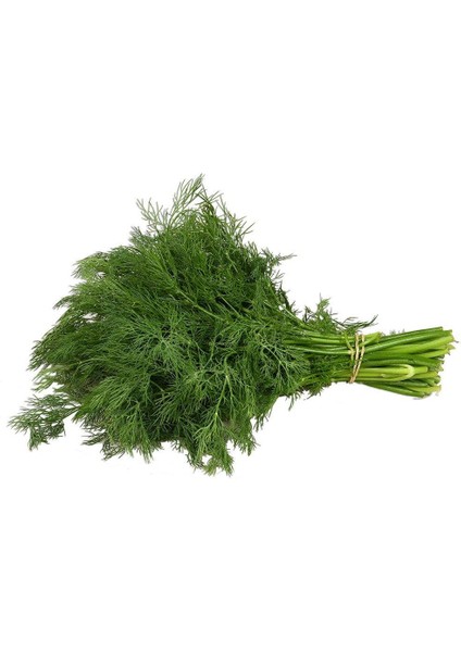 Dere Otu Tohumu 10 gr Paket