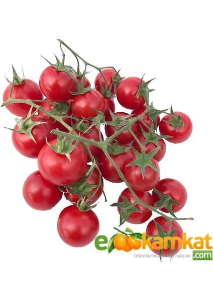 Cherry (Pinpon) Domates Tohumu 250 Adet