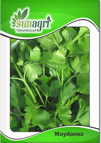 Sunagri Tohumculuk Maydonoz Tohumu – Sunagri