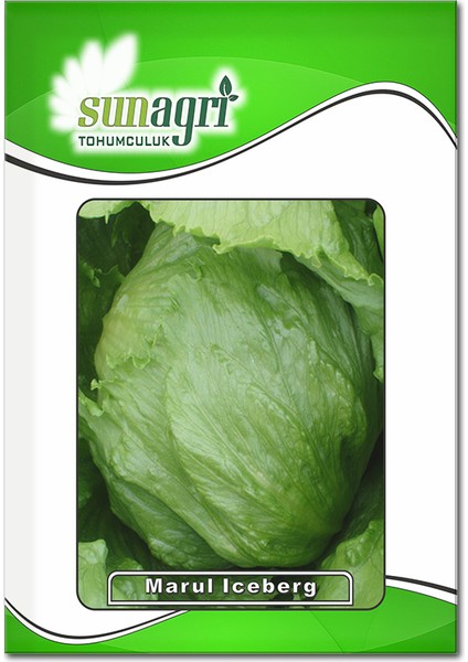 Sunagri Tohumculuk Marul Iceberg Tohumu – Sunagri