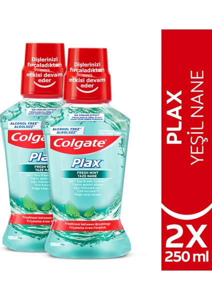 Plax Taze Nane Ağız Bakım Suyu 250 ml x 2 Adet